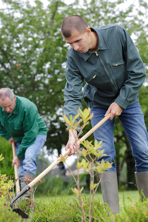 Two men in green shirts and jeans working in the yard.  Trees in the background.