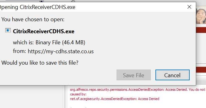 Screenshot of a pop-up to save the Citrix Client file.